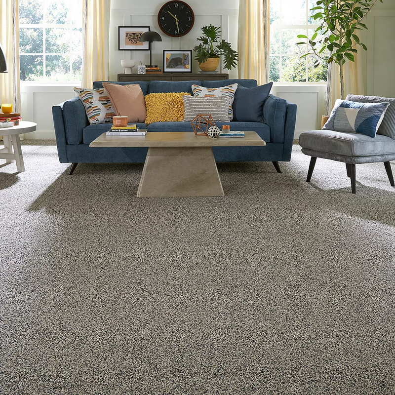 PETPremier using Mohawk Continuum, the ultimate innovation in PET carpet